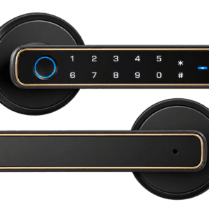 Poignée de Porte Intelligente Smart Lock
